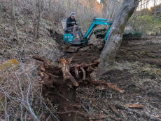 木の根堀り